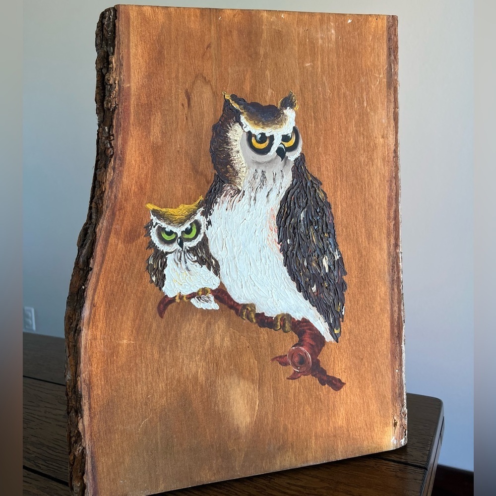 Vintage Hand Painted Owl And 3D on Wood‎ Wall Plaque Raw Wood Slab